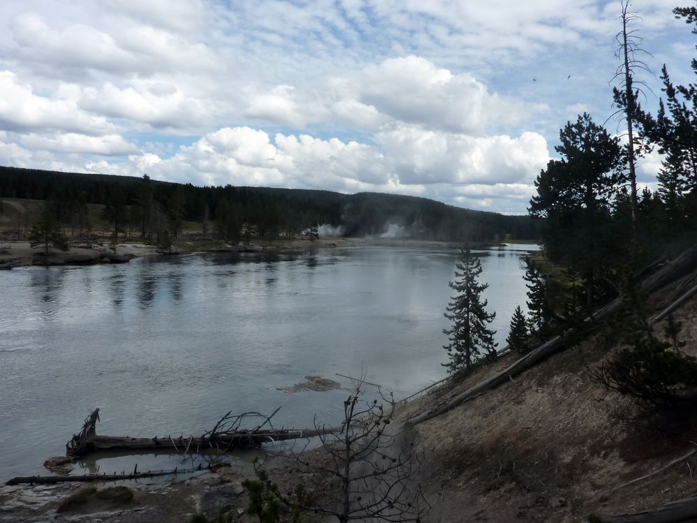 Yellowstone Mud Volcano Area (25).JPG